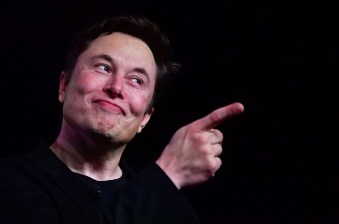 Biógrafo de Elon Musk: 
