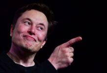Elon Musk anuncia 'amnistía' para cuentas suspendidas en Twitter

