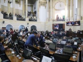 Senado de Colombia discute leyes contra el racismo y la discriminación

