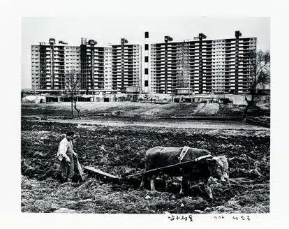 Campos y nuevos edificios en el distrito de Gangnam de Seúl en 1976.