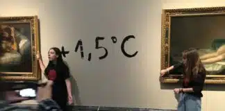 Los principales museos del mundo rechazan los ataques a las obras de arte y confirman que destruyen el 'patrimonio de todos'

