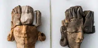 El descubrimiento de las primeras esculturas tatesianas abre el estudio de la cultura prerromana que dominó el suroeste de la península 

