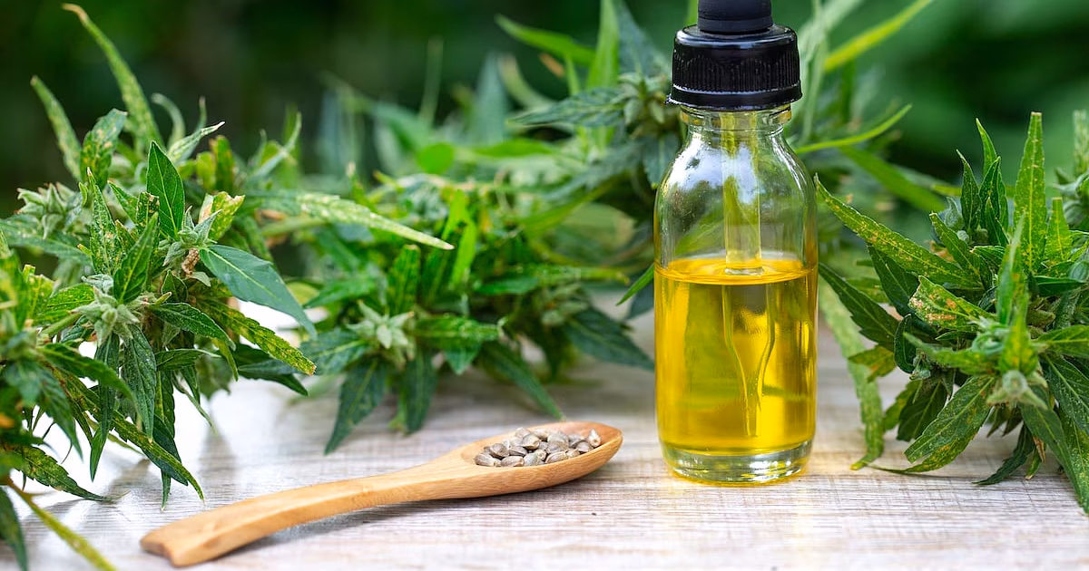 El CBD no es bueno para aliviar el dolor, concluyen los expertos