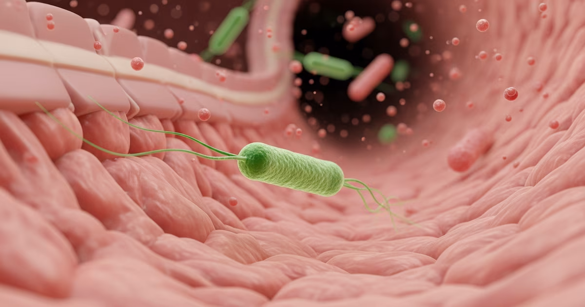 Descubren que las bacterias del intestino podrían desencadenar depresión bipolar