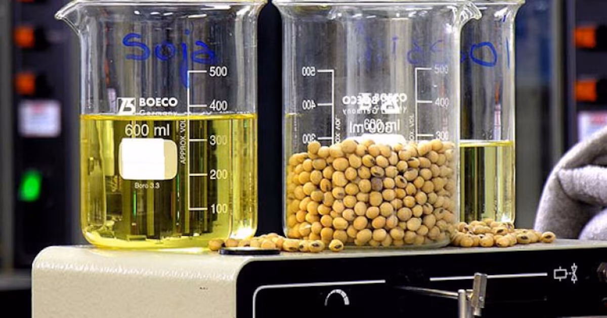 La Argentina podría perder USD 350 millones en exportaciones por restricciones de la Unión Europea al biodiésel de soja