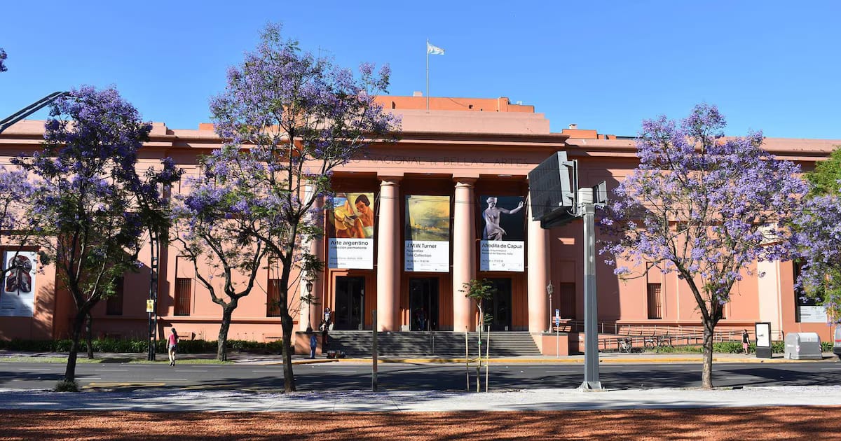 El Bellas Artes anunció los detalles de la expansión del museo