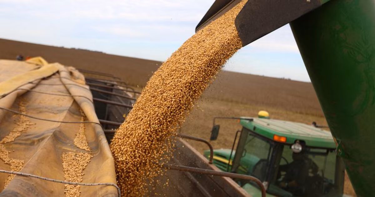 Brotes verdes: la actividad del agro alcanzó un máximo histórico en diciembre y cerró un 2025 de crecimiento exportador