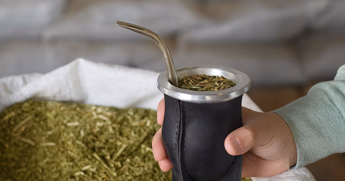 Yerba mate bate récord histórico de exportación en 2025