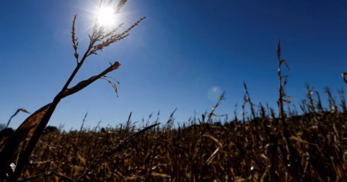 El planeta agrícola pendiente de la seca en la Argentina