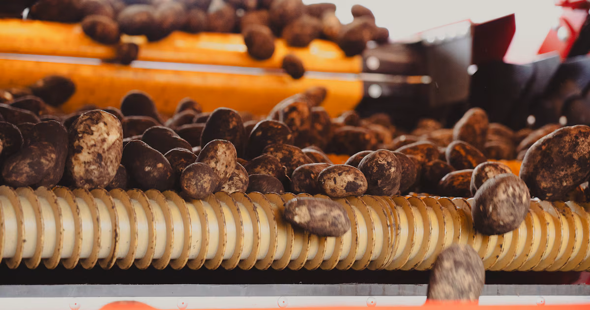 Un multinacional que fabrica papas fritas cerró su planta en Munro y despidió 100 empleados: cómo seguirá su negocio en el país
