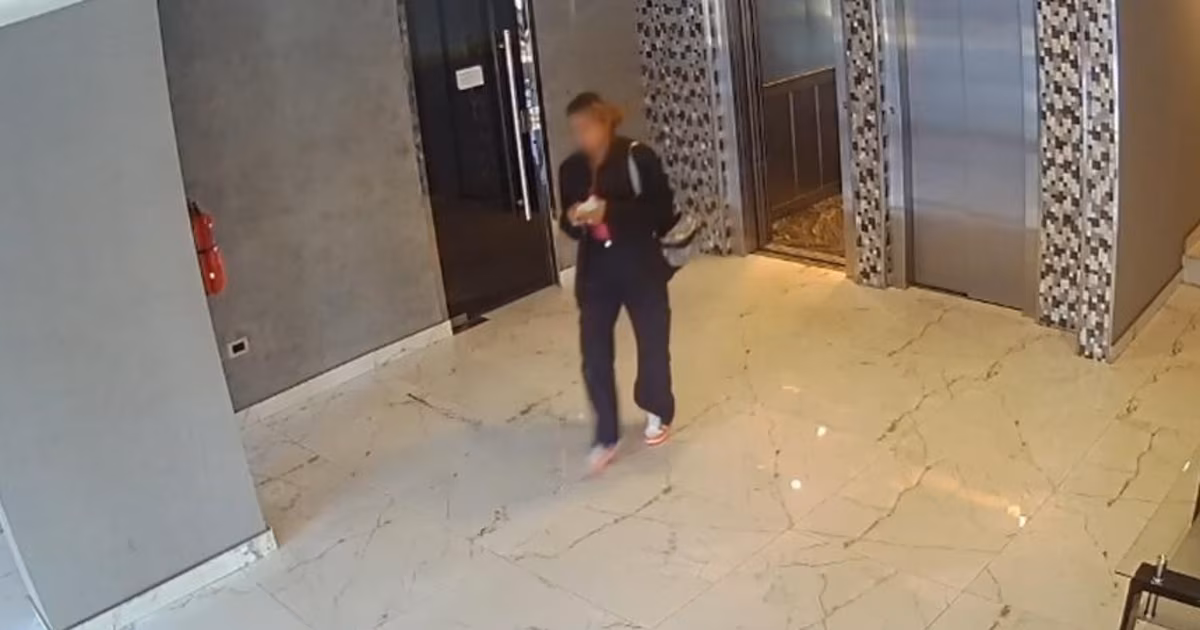 Cayó una viuda negra en Villa Urquiza: el error que la dejó afuera y el increíble hallazgo en su departamento