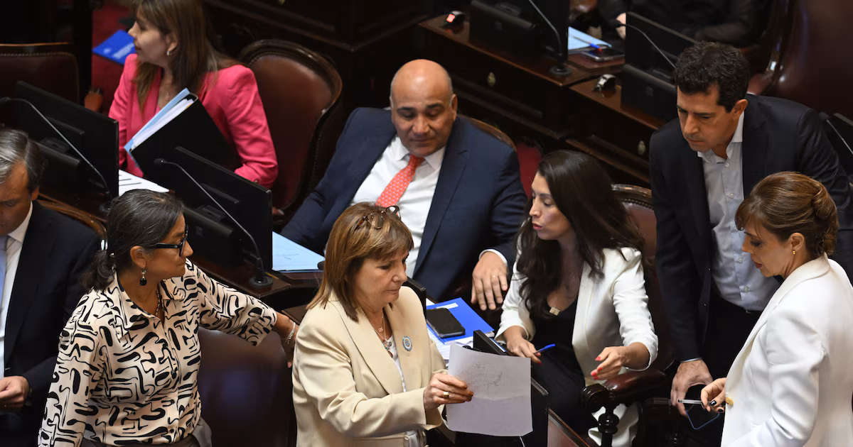 Extraordinarias: el Senado deberá integrar dos comisiones y aumentará la presión por las bicamerales