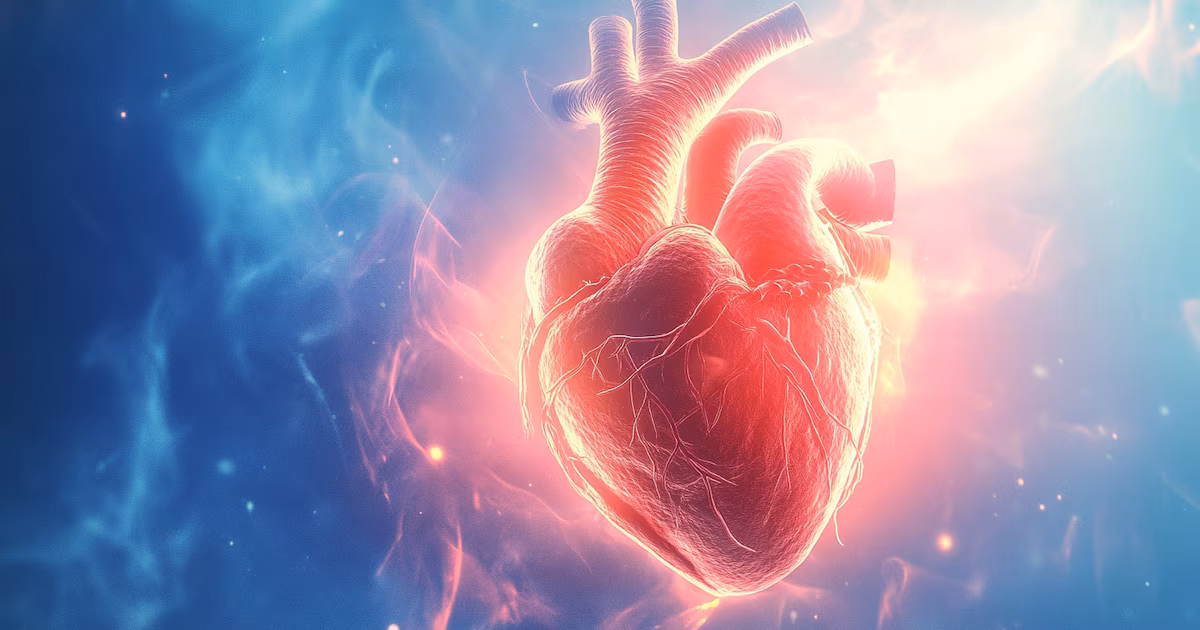 Nuevos consejos sobre el colesterol: qué ha cambiado y cuál es la clave para prevenir enfermedades cardiovasculares