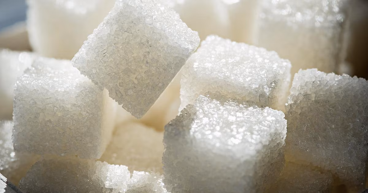 Los científicos encuentran clave para producir azúcar rara pero más saludable
