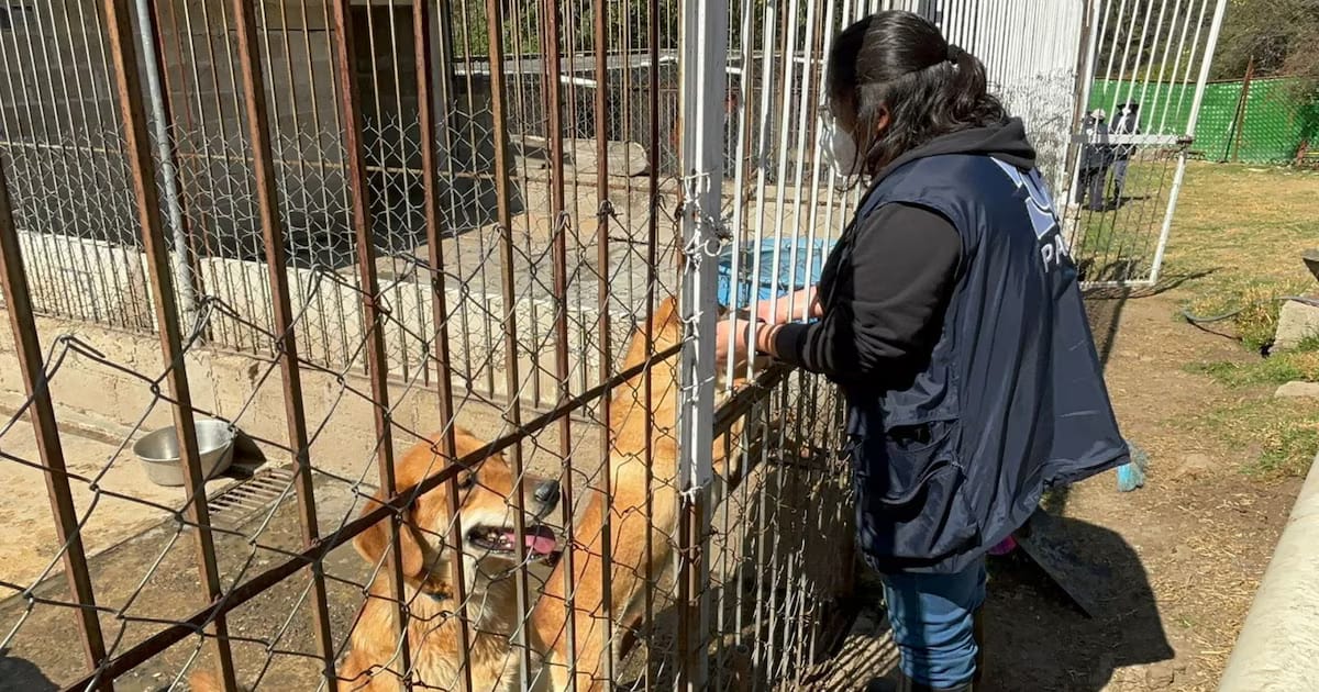Gobierno CDMX niega contrato inmobiliario en predio de Refugio Franciscano
