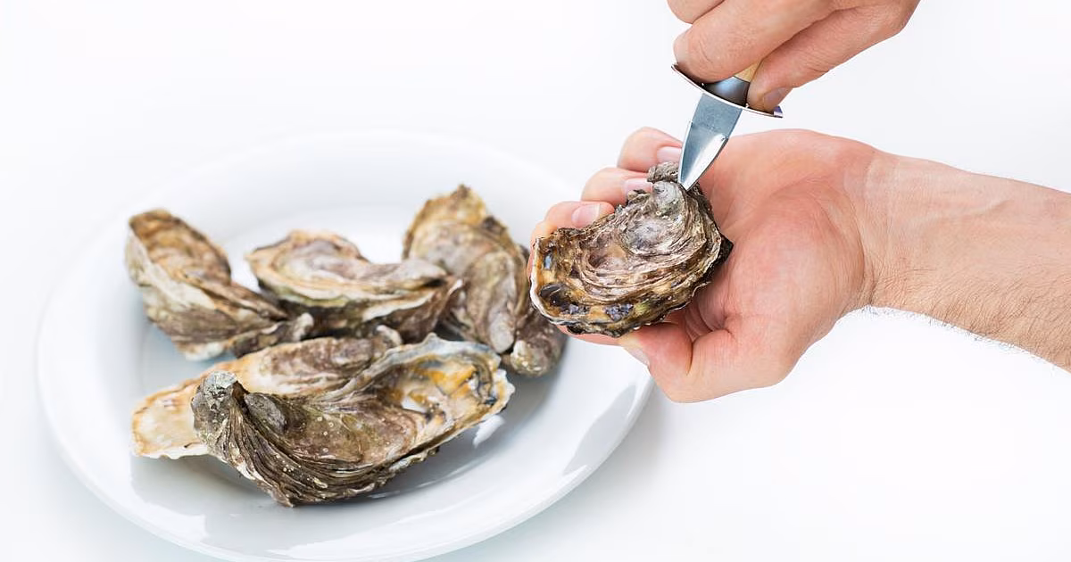 Brote de salmonela vinculado a ostiones crudos enferma a 64 personas en 22 estados