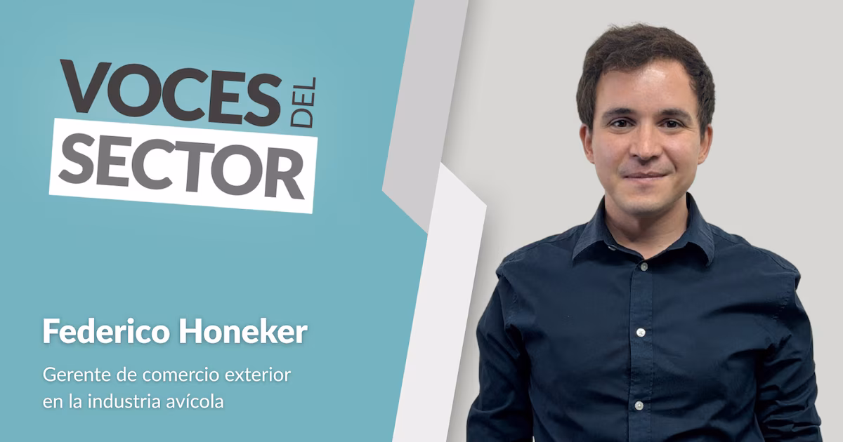 Sanidad, mercados y logística: los desafíos del comercio exterior avícola