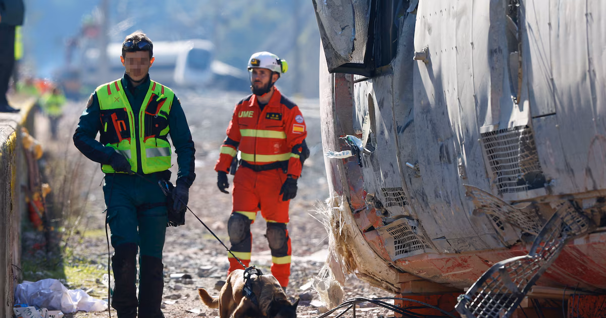 Última hora del accidente de tren en Adamuz (Córdoba), en directo: el número de víctimas mortales asciende a 42
La conversación de los reyes con Julio, convertido en héroe con 16 años tras el accidente de Adamuz: “La reina Letizia se ha preocupado por mí”
Un boliviano que vive en Huelva, entre los desaparecidos tras el accidente ferroviario de Adamuz