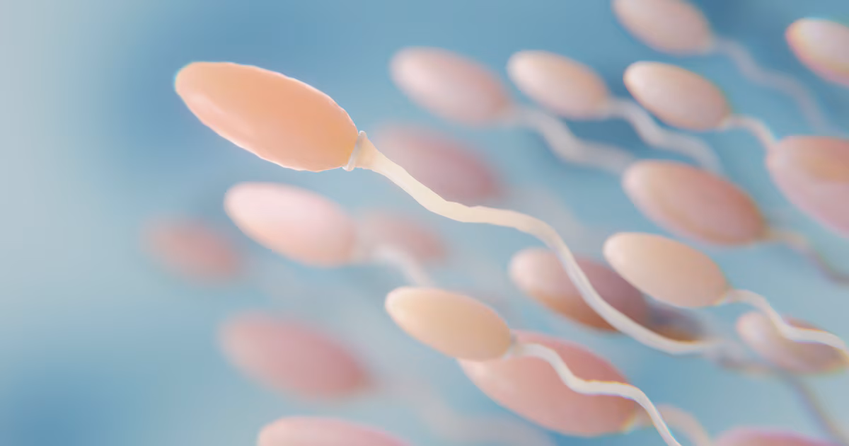 Identifican una transformación clave en el ARN del esperma relacionado con la edad paterna