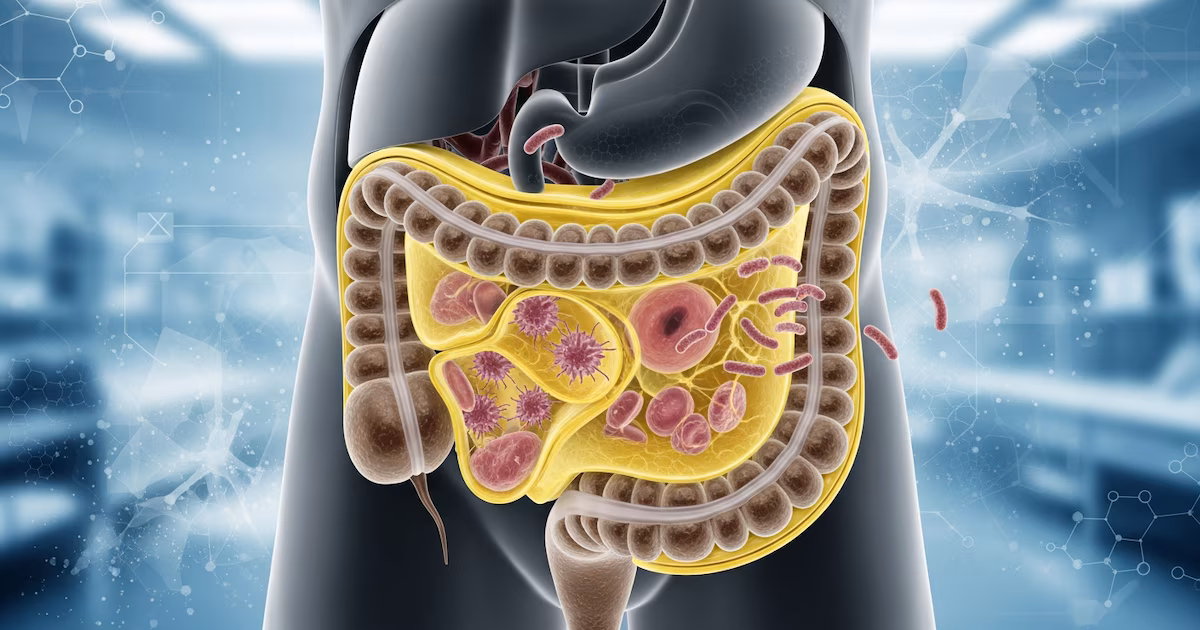 Alimentos fermentados: qué beneficios aportan los microorganismos vivos a la salud intestinal