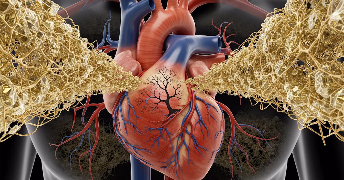 Qué hábitos ayudan a reducir el riesgo de un infarto y proteger la salud del corazón