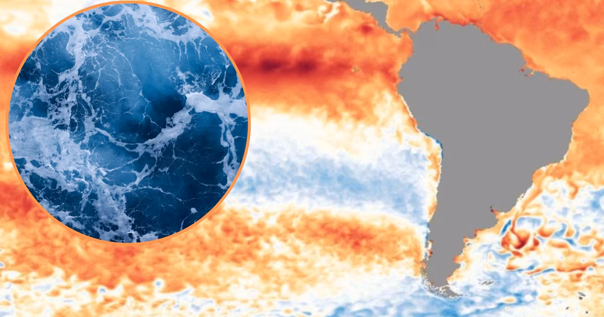 El maíz temprano atraviesa semanas decisivas y depende de nuevas lluvias