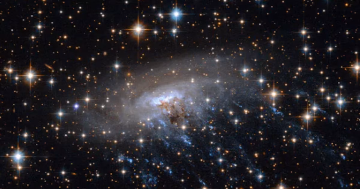 El telescopio espacial James Webb revela la galaxia de las medusas, cambiando nuestra comprensión de los cúmulos de estrellas