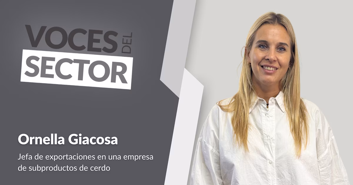 Potencial de exportación de carne de cerdo bajo desafíos de competitividad