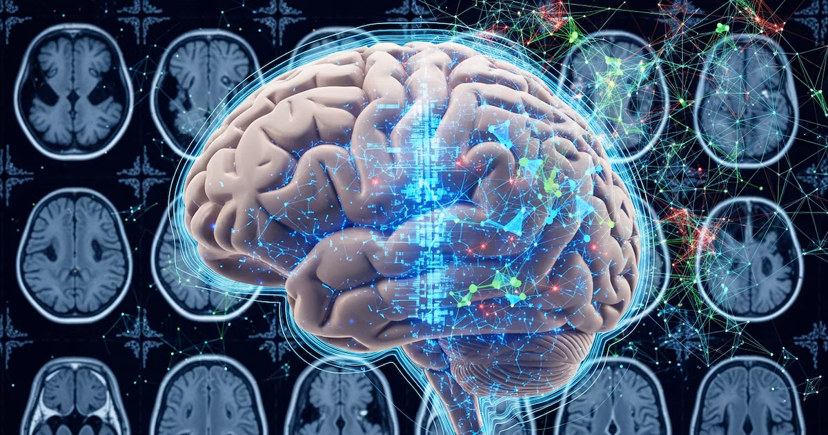 Las diferencias entre el cerebro masculino y femenino empeoran después de la pubertad