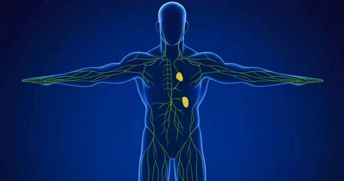 Guía experta para revitalizar su sistema linfático en 10 minutos