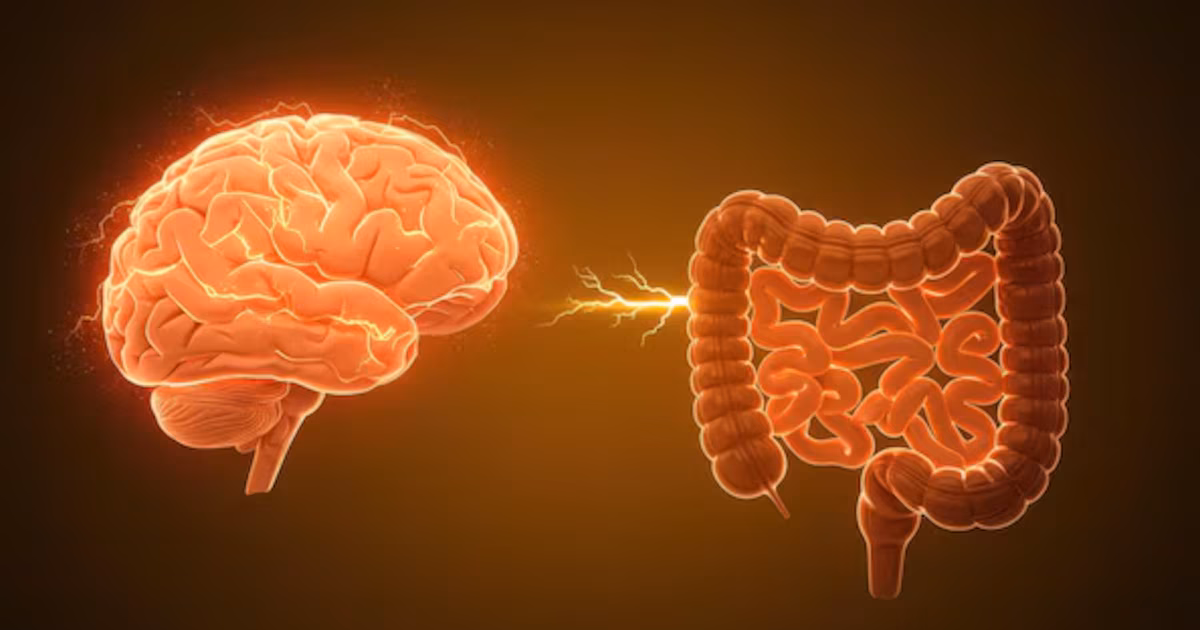 Por qué el microbioma intestinal puede ser clave para prevenir enfermedades neurológicas, dicen los expertos