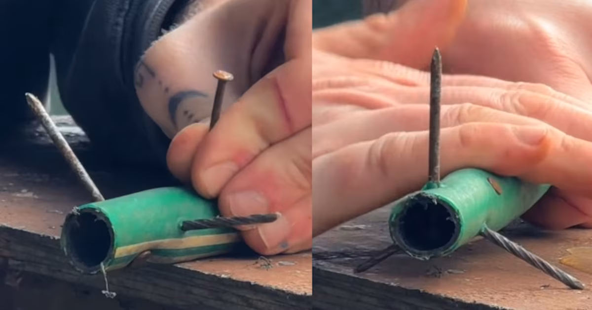 Ministerio de Seguridad condena penalmente cuenta de Instagram por incitación al delito