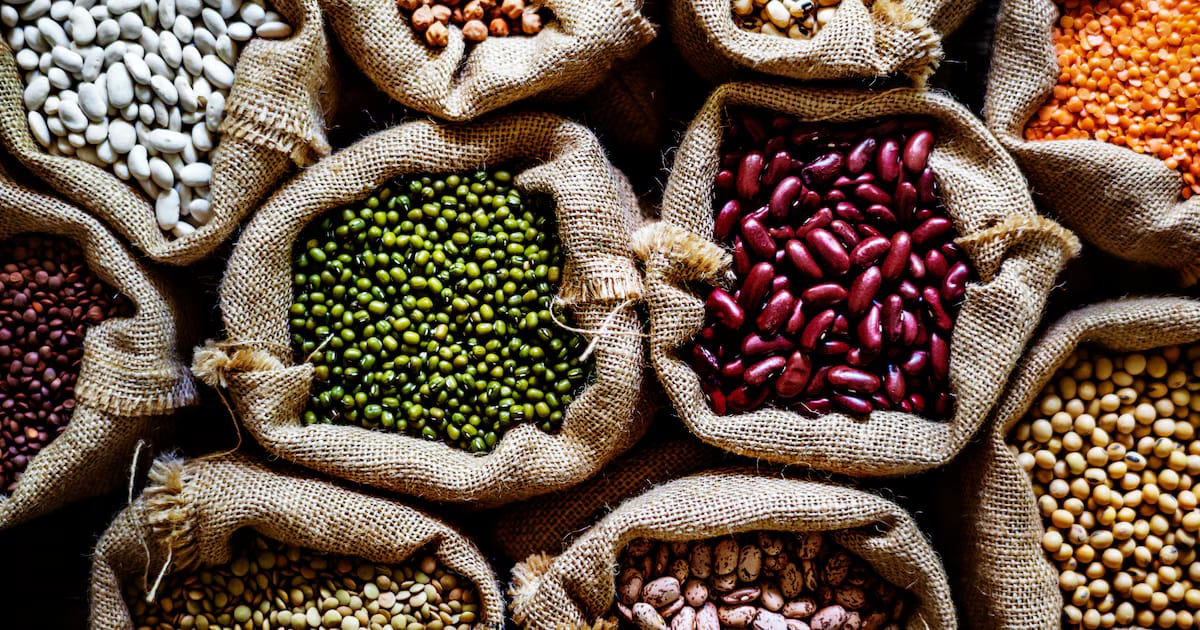 Día Mundial de las Legumbres: Beneficios clave para la salud y prevención de enfermedades