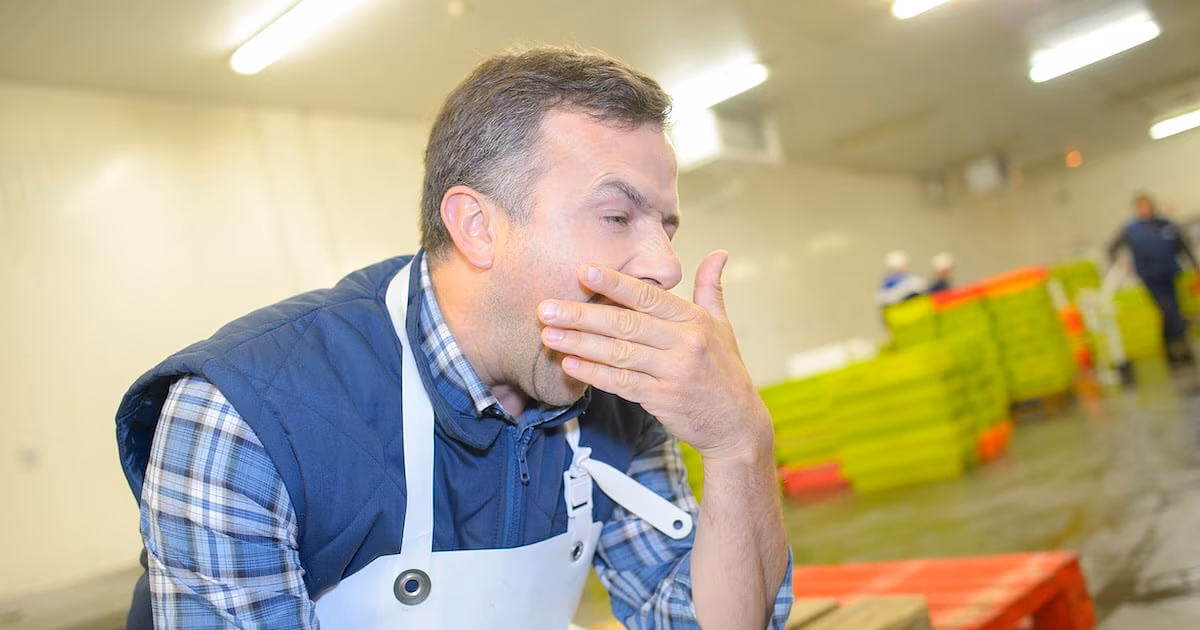 Los medicamentos no estimulantes ayudan a los trabajadores tempranos a mantenerse despiertos y alerta
