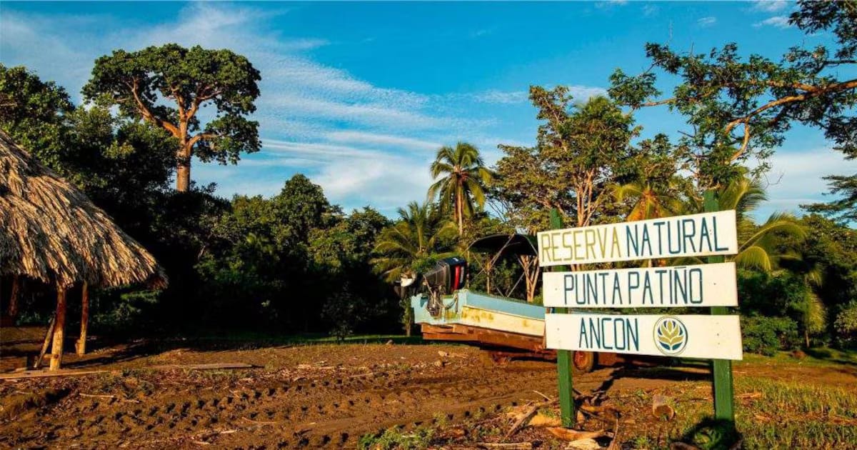 Gobierno y ONG presionan para ampliar los humedales claves para la biodiversidad de Panamá