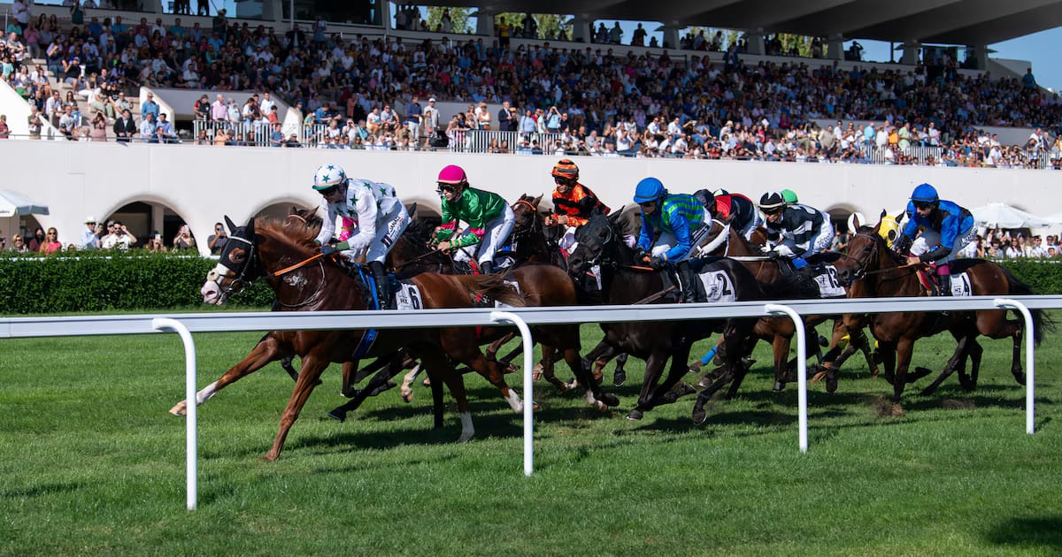 El domingo 8 de marzo te espera emocionante acción en el Hipódromo de la Zarzuela: cinco carreras y varias pruebas dan el pistoletazo de salida a la temporada de primavera