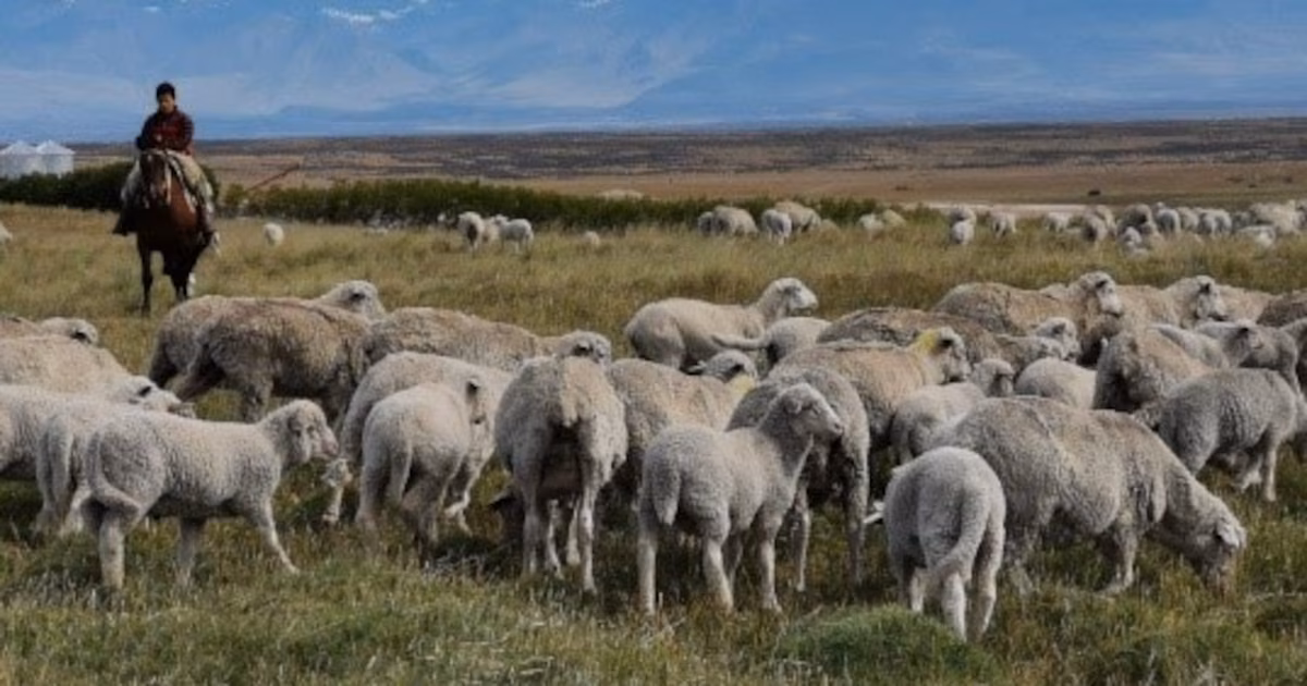 Argentina salta al mercado global de carbono