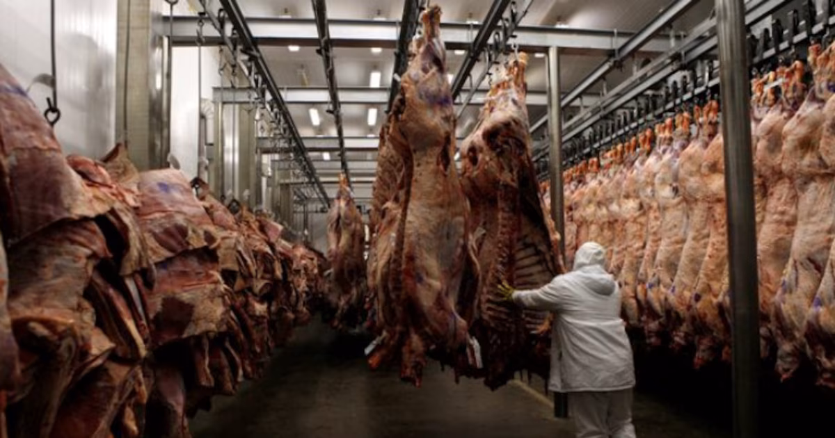 Por la caída del consumo y las importaciones, un frigorífico suburbano cerró sus puertas y despidió a 140 personas