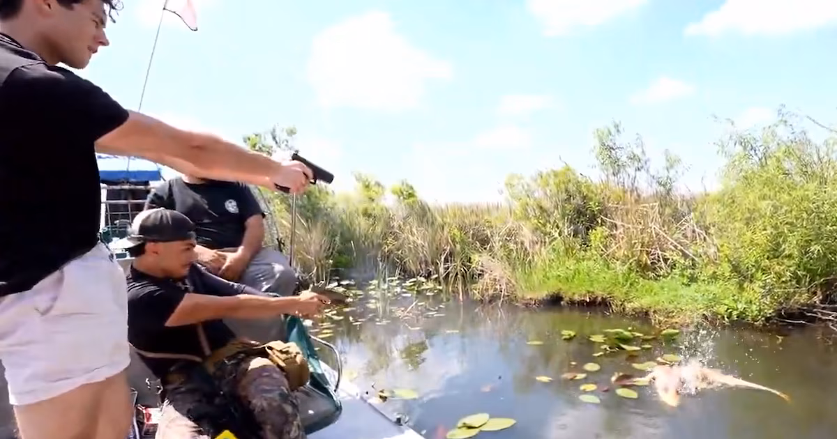 El presentador Brayden Peters bajo investigación después de dispararle a un caimán en los Everglades