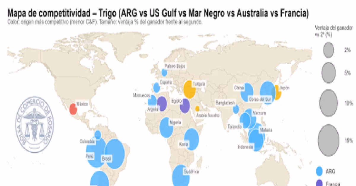 Producción de trigo y soja alcanza niveles récord: la agricultura argentina avanza en el comercio global