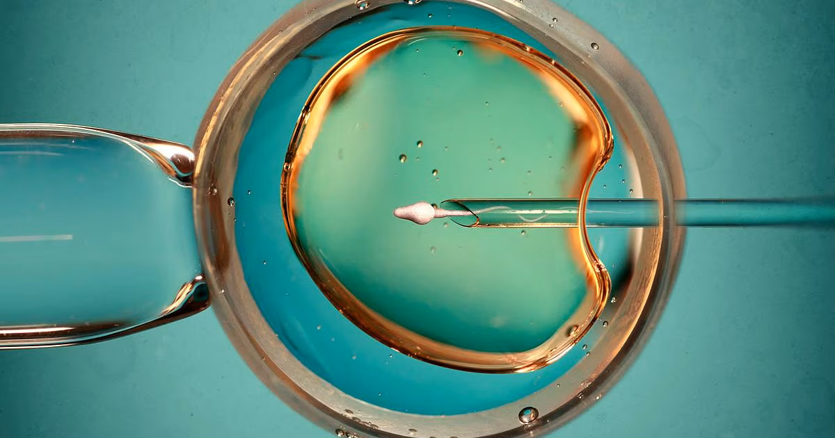 Los tratamientos de fertilidad no están relacionados con un mayor riesgo de cáncer en las mujeres, concluye un nuevo estudio