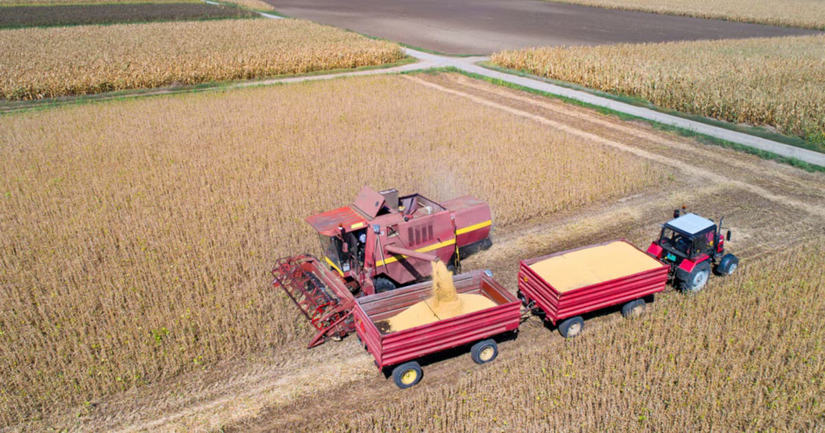 Nueva herramienta digital tiene como objetivo optimizar la planificación de la logística agrícola