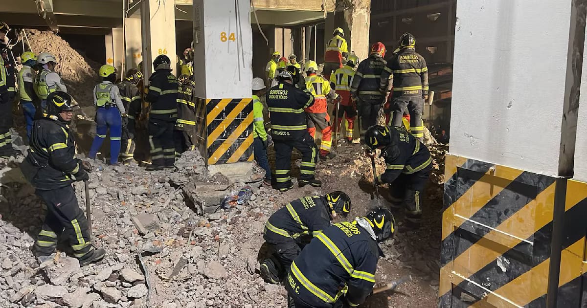 Colapso de Abad, San Antonio: Rescatan el cuerpo del cuarto trabajador atrapado y concluyen labores de rescate Colapso del Edificio Abad, San Antonio: Imágenes de deterioro antes del colapso Quién es Togo, parejas de perros buscan víctimas tras Colapso de Abad, Colapso de Abad San Antonio: Con parejas caninas y rescate manual, es una carrera contra el tiempo para rescatar a los trabajadores atrapados
