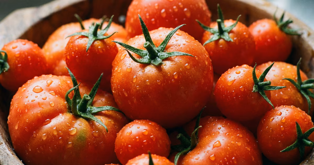 Un estudio muestra cómo los tomates pueden ayudar a prevenir enfermedades cardiovasculares