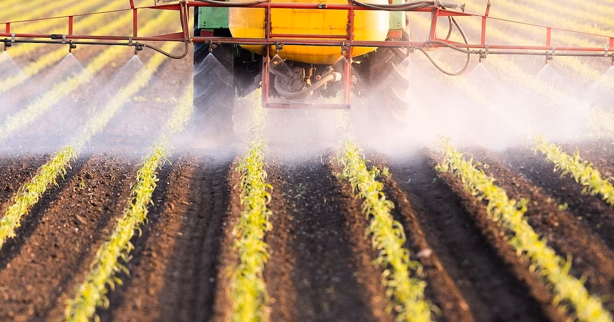 La exposición a pesticidas antes del embarazo puede poner en peligro la salud del recién nacido