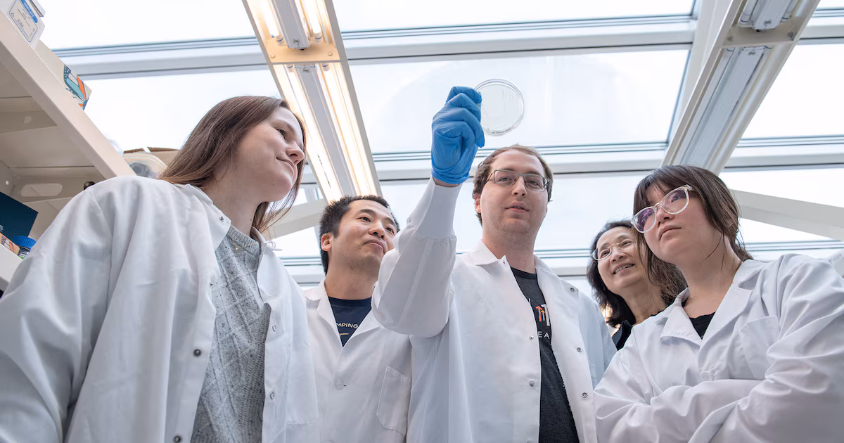 La edición genética adquiere una nueva apariencia: cómo funciona la nueva molécula anticancerígena «bisturí»