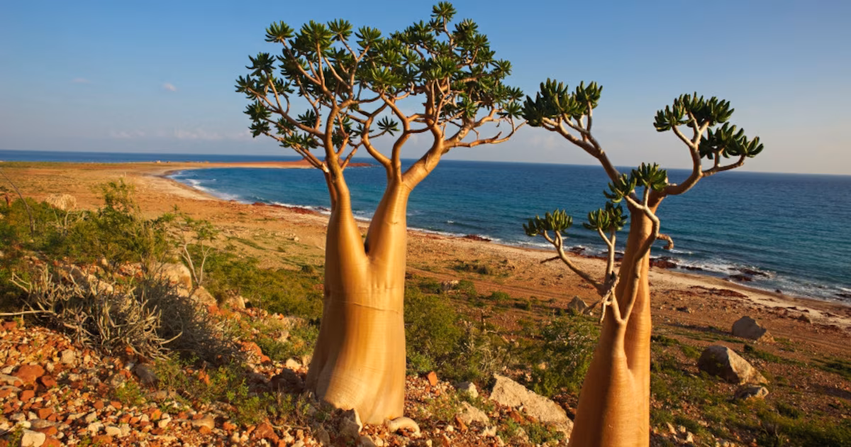 La isla más salvaje y menos conocida del mundo en el Océano Índico ha sido declarada Patrimonio de la Humanidad