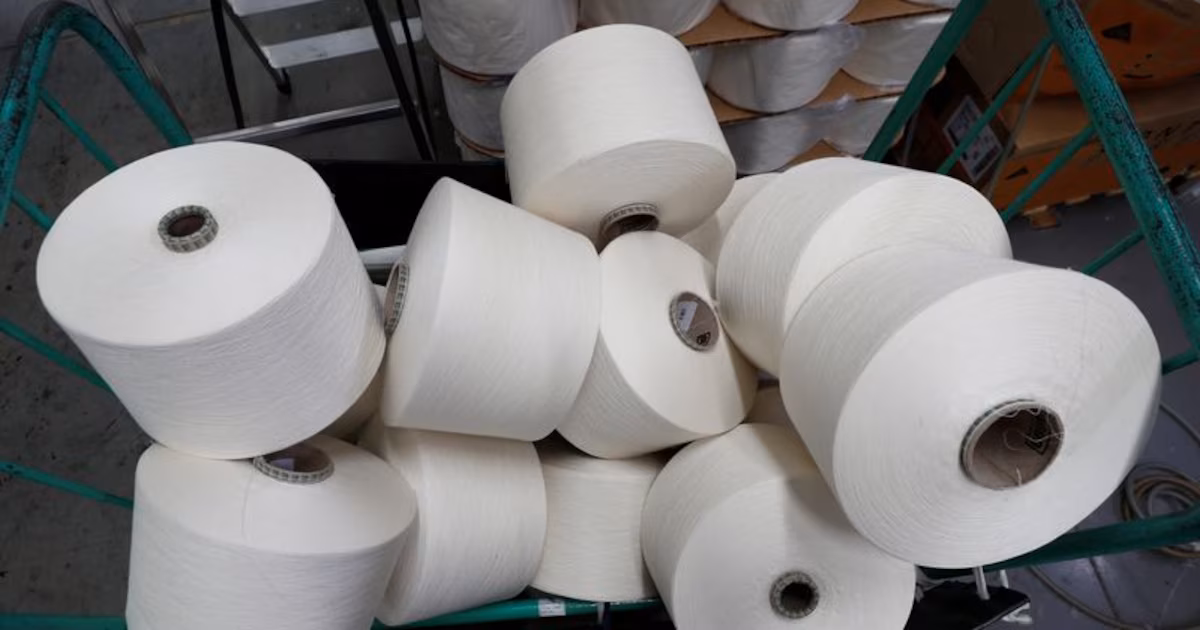 Madera, papel y valor agregado: el motor silencioso que impulsa las exportaciones