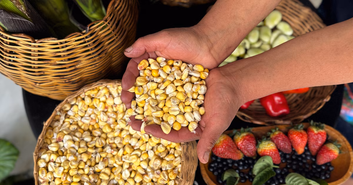 Afectados por los conflictos en Oriente Medio, los precios mundiales de los alimentos subieron un 2,4% en marzo