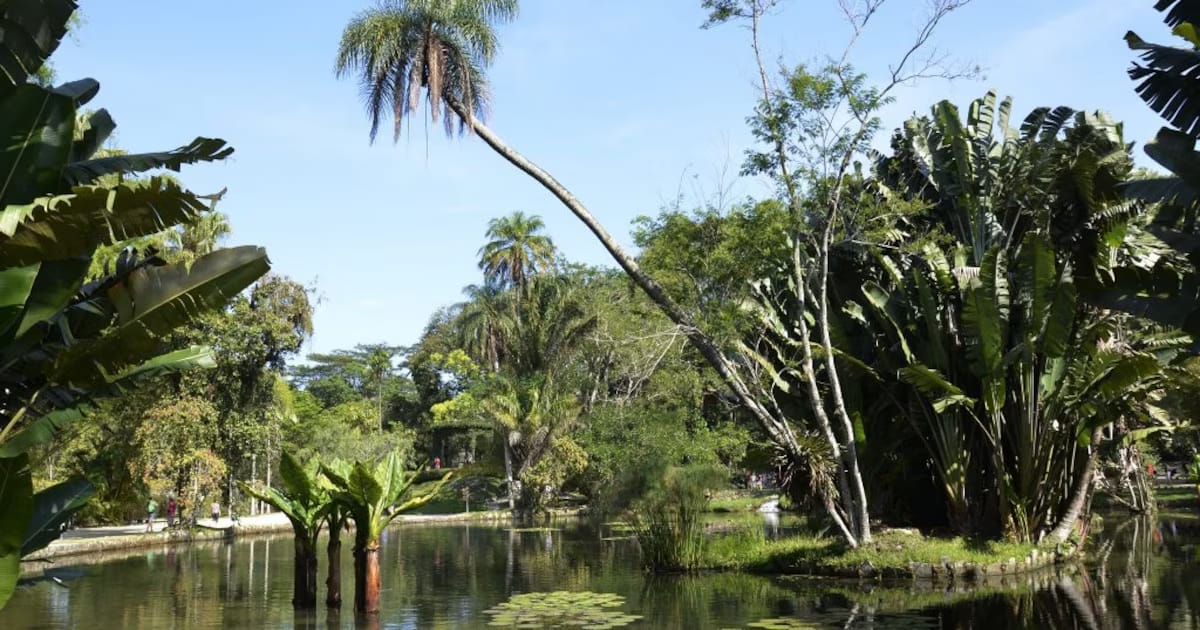 10 de los jardines botánicos más espectaculares del mundo: paraísos coloridos desde Brasil hasta Noruega